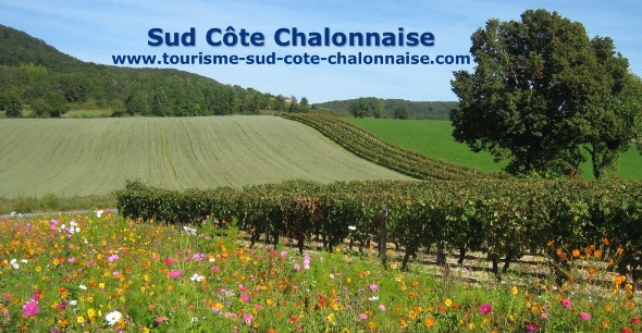 Calendrier manifestations CCSCC